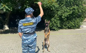 Практикант тренирует собаку по кличке Норма. Фото donnews.ru