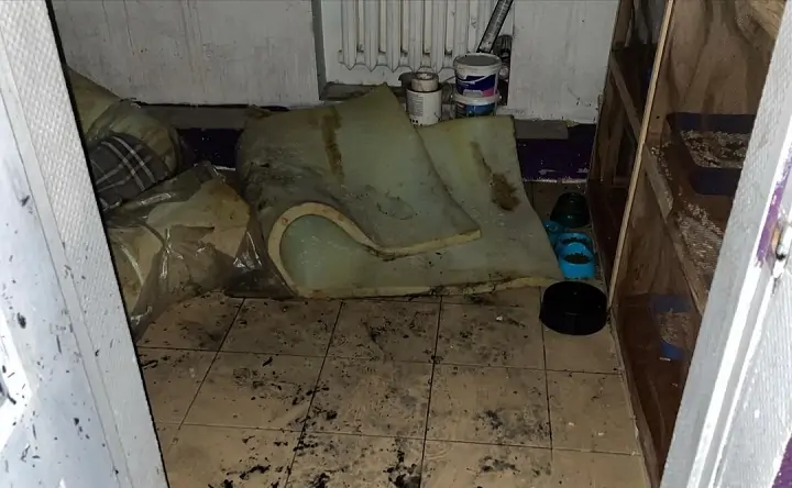 Последствия пожара в кафе «КОТЭдж». Фото instagram.com/kotocafe_kotedzh