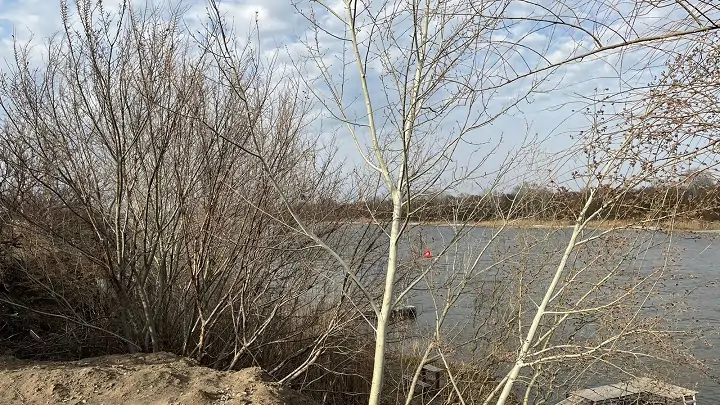 Вид на Дон с участка Мямлина