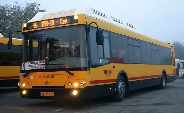 Автобус на маршруте № 96. Фото Михаила Колыванова