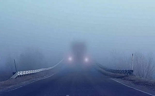 На Ростовскую область опустился сильный туман. Фото m.news.yandex.by