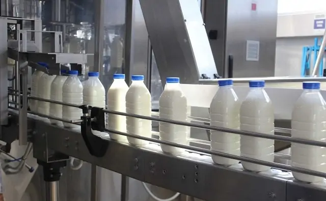 Производство молока в Мясниковском районе. Фото donland.ru