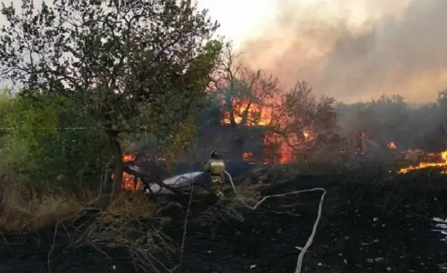 Сгоревший лес в Ростовской области. Фото МЧС РФ