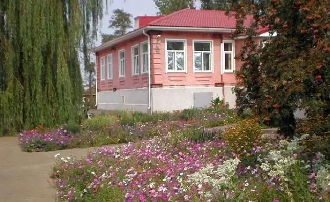 Скородумовская средняя школа в Каменском районе. Фото wikimapia.org