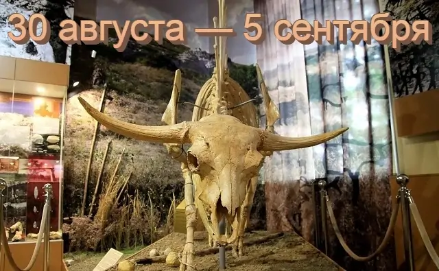 Экспонат палеонтологической коллекции Азовского музея-заповедника. Фото zhzhitel.livejournal.com