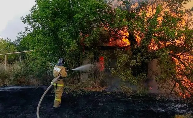 Пожар в Ростовской области в 2020 году. Фото ГУ МЧС по Ростовской области