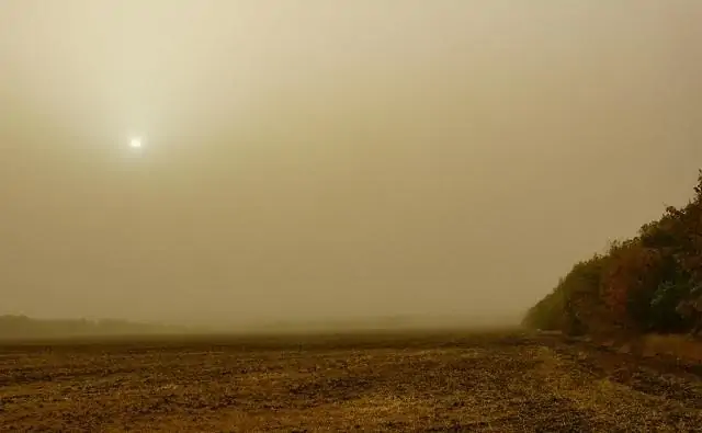 Пыльная буря в Ростовской области в 2020 году. Фото meotyda.ru