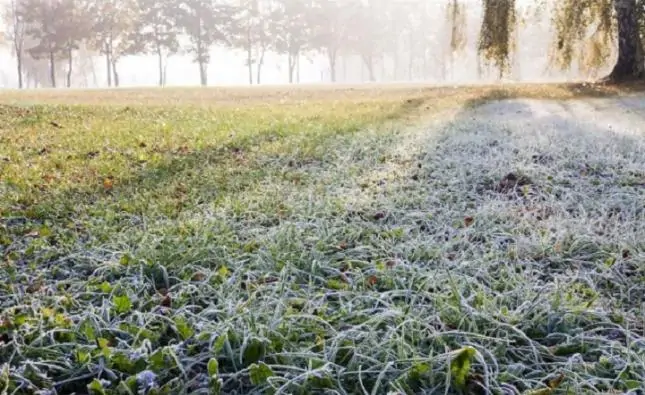 В Ростовской области ожидаются заморозки до –3 °С. Фото odessa-life.ua