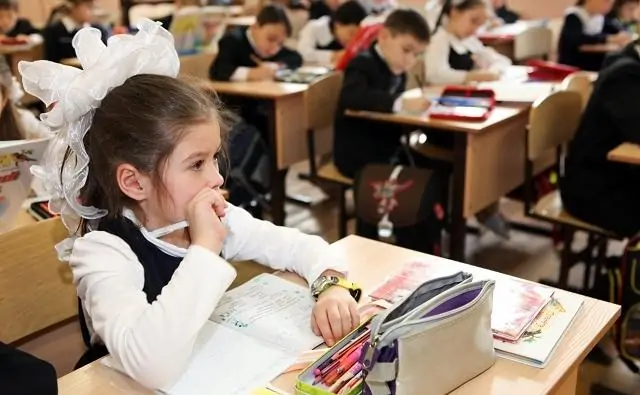 Школьники на уроке. Фото ptzgovorit.ru