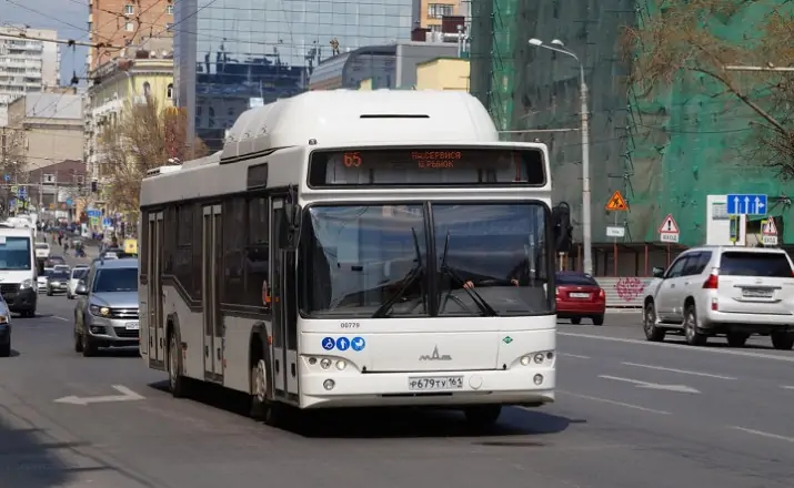 Автобус №65. Фото 2gis.com