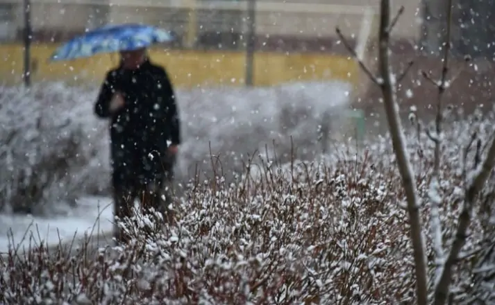 Снег в Ростове может выпасть в середине ноября. Фото yandex.ru