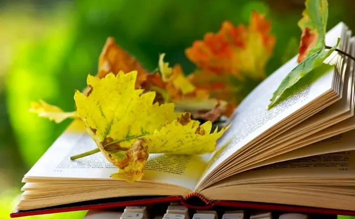 Раскрытая книга и осенние листья. Фото culture.ru