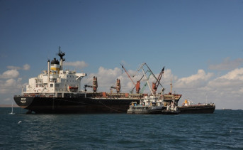 Федеральные лоббисты Новороссийского порта могут оставить Ростовскую область без миллиардов с экспорта зерна