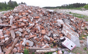 Ростовские застройщики стали сваливать в лесополосах ещё больше своего мусора