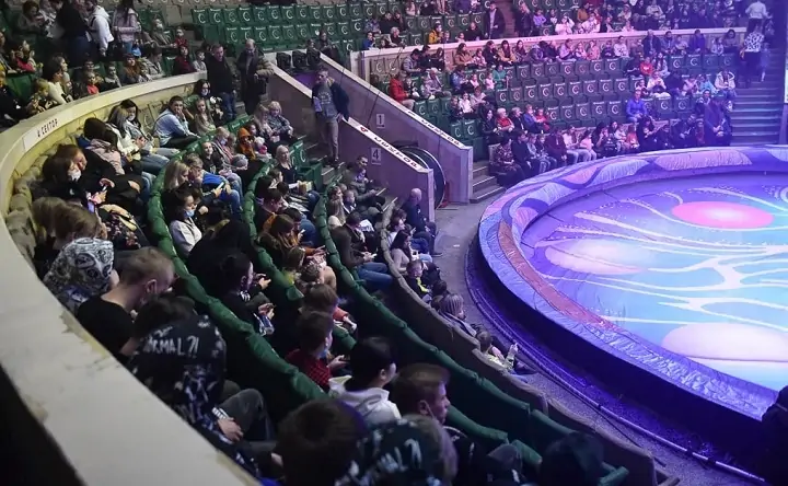 Зрители смотрят выступление в Ростовском цирке. Фото Анатолия Карбинова / zsro.ru