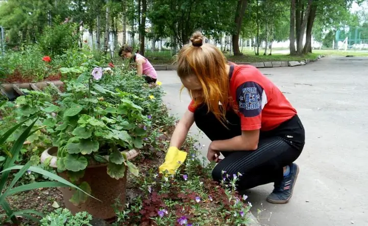 Подработка подростков в летнее время. Фото Вологда. РФ