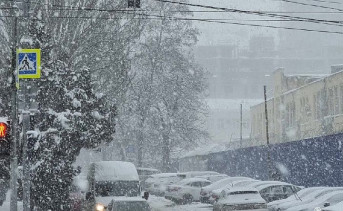 Климатолог спрогнозировал затяжные снегопады в Ростовской области