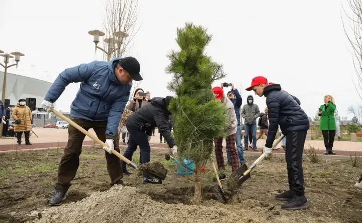 Алексей Логвиненко сажает дерево. Фото rostov-gorod.ru.
