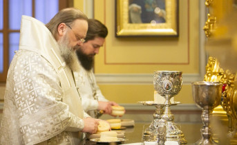 Ростовский митрополит пожаловался на вытравливание образа Иисуса из празднования Рождества