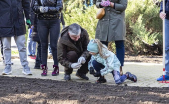 В Ростове в День тюльпанонасаждения высадили около 30 тысяч луковиц