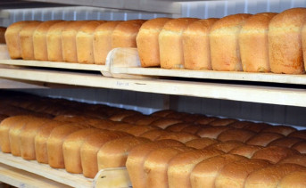 Поддержание цены на хлеб в Ростовской области в 2022 году обошлось в 50 миллионов рублей