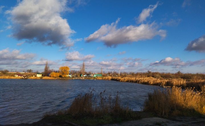 Первый месяц зимы в Ростовской области начнётся с солнечной погоды и снега