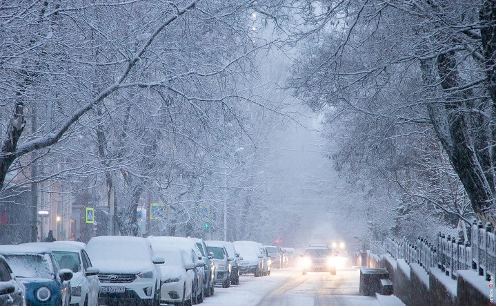 Климатолог объяснил, почему зима в Ростовской области окажется холодной
