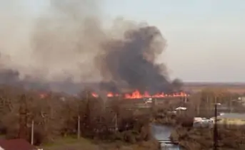 Ландшафтный пожар на левом берегу Дона. Фото t.me/news161ru