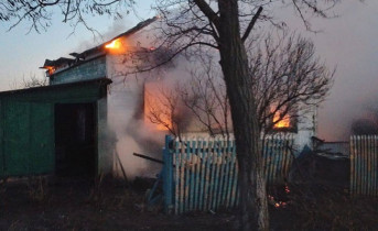 При пожаре в Ростовской области погибли двое малолетних детей
