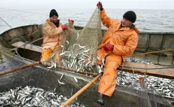 Рыбаки с уловом. Фото пресс-службы Росрыболовства