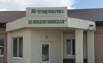 Старейшую птицефабрику Ростовской области выставили на продажу на Avito за 900 млн рублей