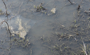 Главный водоканал Ростовской области оштрафовали почти на 5 млн рублей за загрязнение почвы