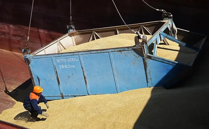 Зерно отгружают на экспорт. Фото Дмитрий Дадонкин / ТАСС.