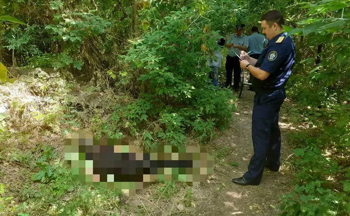 Правоохранители осматривают найденное тело в лесополосе. Фото для иллюстрации СУ СК по Саратовской области