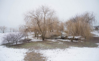 Климатолог спрогнозировал холодный март в Ростовской области