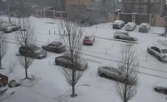 Машины в снегу. Фото donnews.ru
