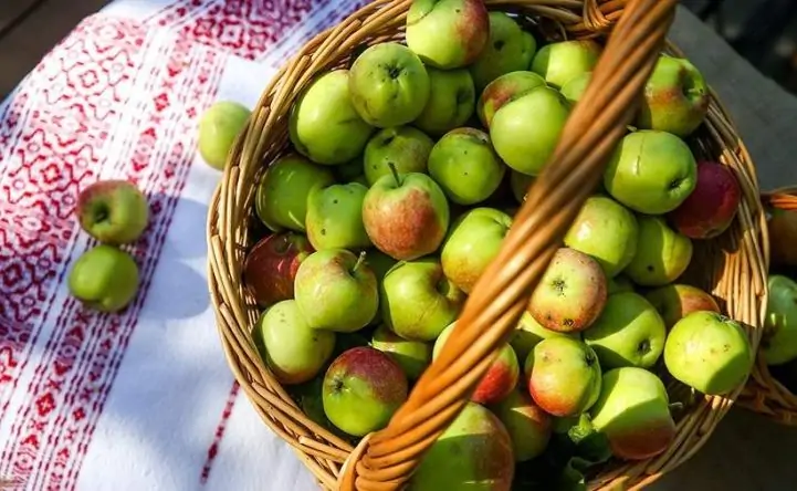 Яблоки в корзине. Фото ТАСС/Егора Алеева