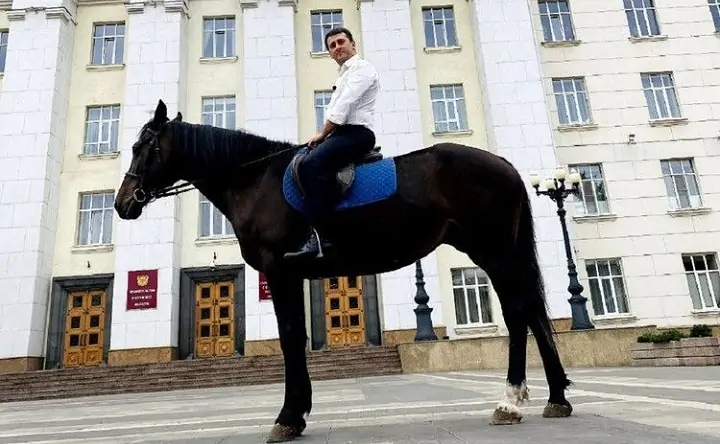 Евгений Федяев однажды приехал на работу к зданию Заксобрания и правительства Ростовской области на коне. Фото из Telegram-канала депутата.