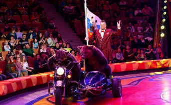 На манеже Ростовского цирка медведи станцевали брейк-данс с балалайкой и вышли на боксёрский ринг