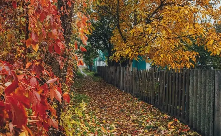 Осень в Старочеркасской. Фото Артёма Панфилова