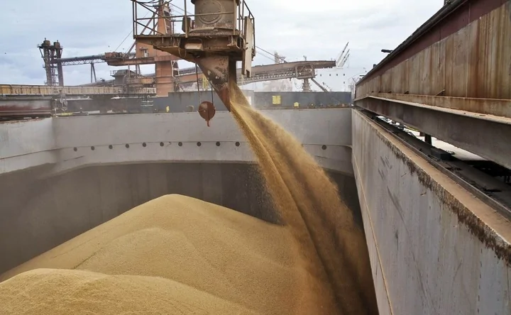 Загрузка зерна на экспорт. Фото donnews.ru.