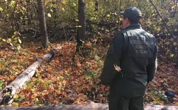 Сотрудник Следственного комитета по время поисков человека в лесу. Фото СУ СК РФ по Республике Мордовия.