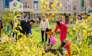 В школе и детских садах ростовского экорайона «Вересаево» высадили платановые аллеи