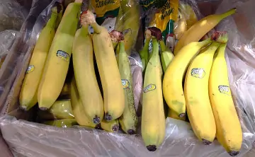 Бананы. Фото donnews.ru