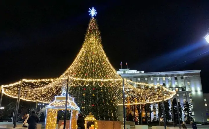 Новогодняя ёлка перед зданием правительства Ростовской области. Фото из Telegram-канала Алексея Логвиненко