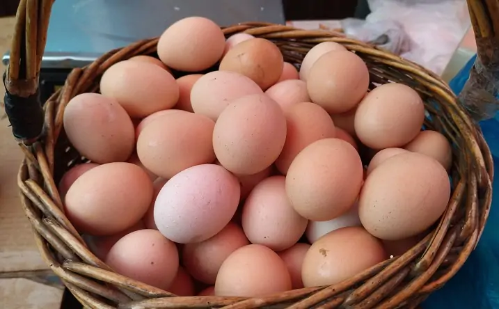Корзина с домашними яйцами. Фото donnews.ru