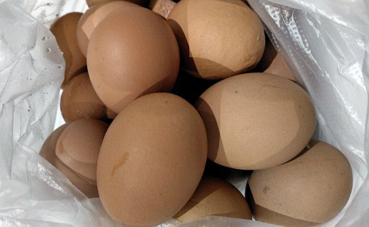 В Ростовской области нашли причину падения производства яиц