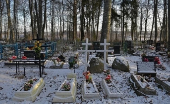 Завершение пандемии коронавируса привело к резкому падению уровня смертности в Ростовской области