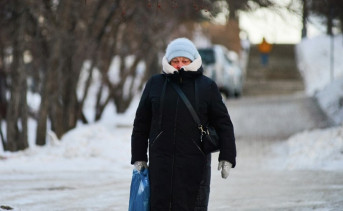 Женщина идёт по улице в мороз. Фото dvnovosti.ru