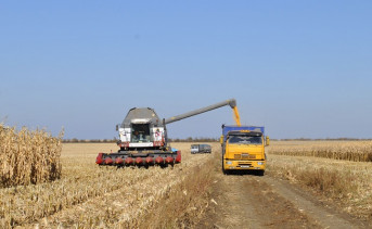 Санкции и рекордные урожаи могут привести сельское хозяйство Ростовской области к серьёзному кризису